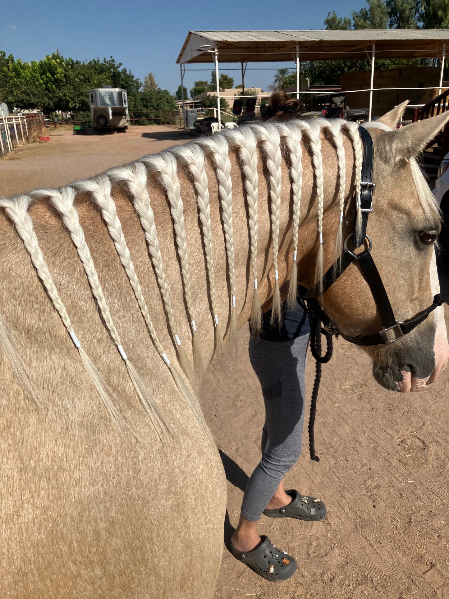 Rainbow Braiding Tape - Individual Rolls