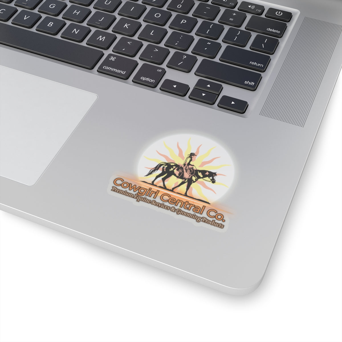 Cowgirl Central Co. Stickers