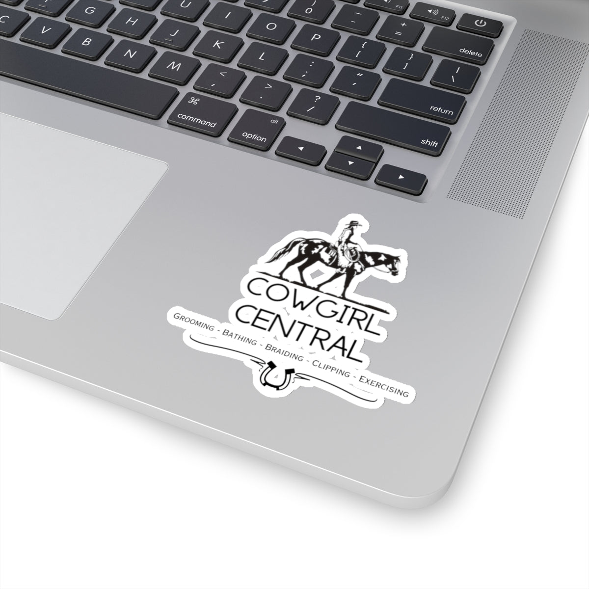 Cowgirl Central Co. Stickers