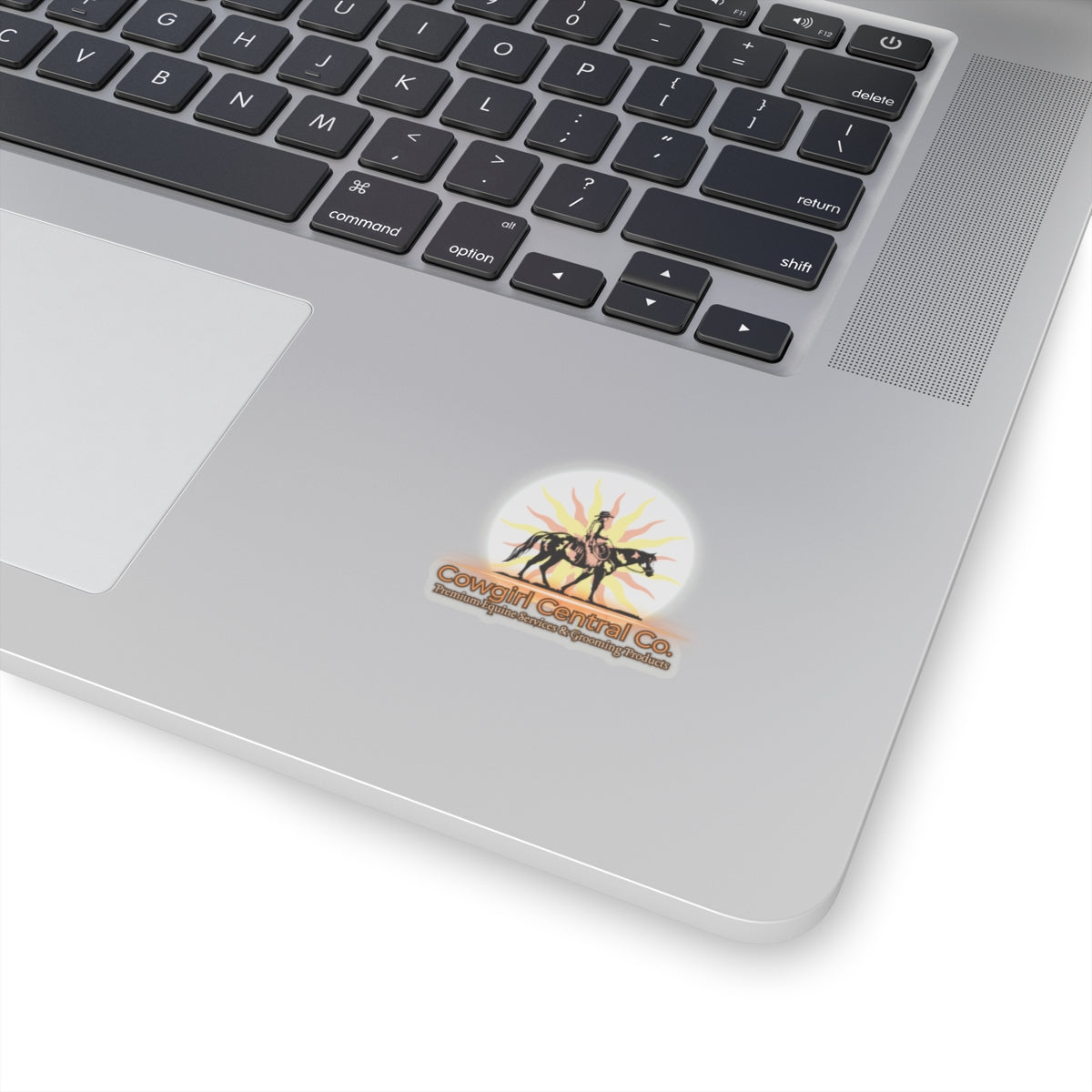 Cowgirl Central Co. Stickers