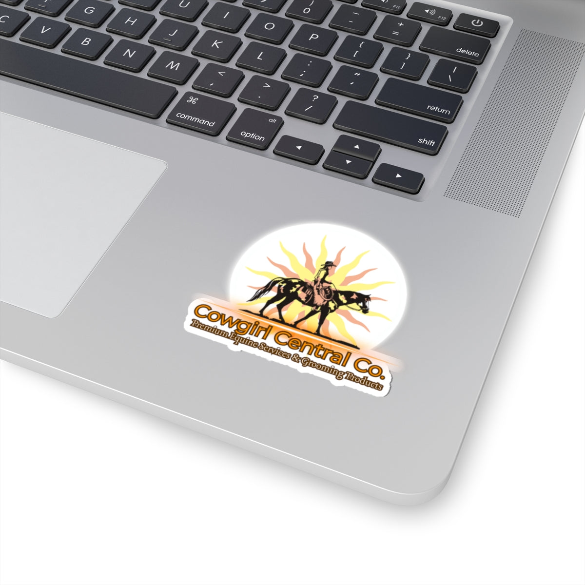 Cowgirl Central Co. Stickers