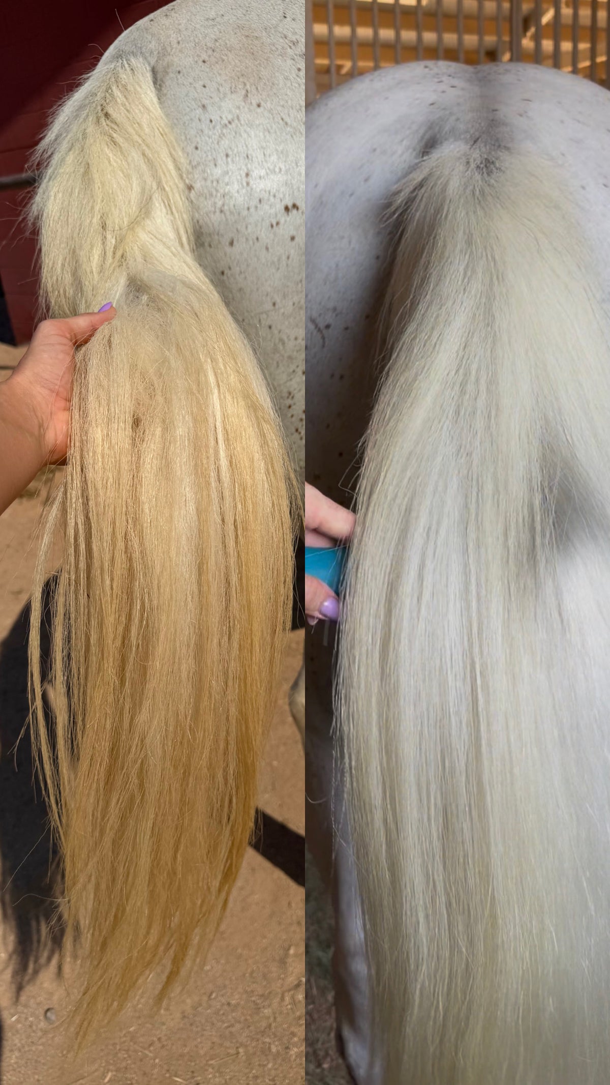The Brightening Treatment