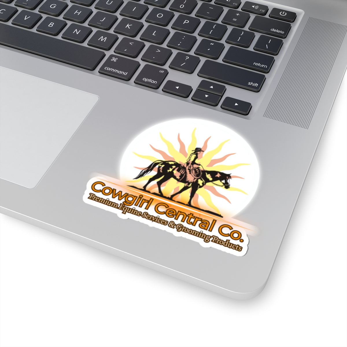 Cowgirl Central Co. Stickers