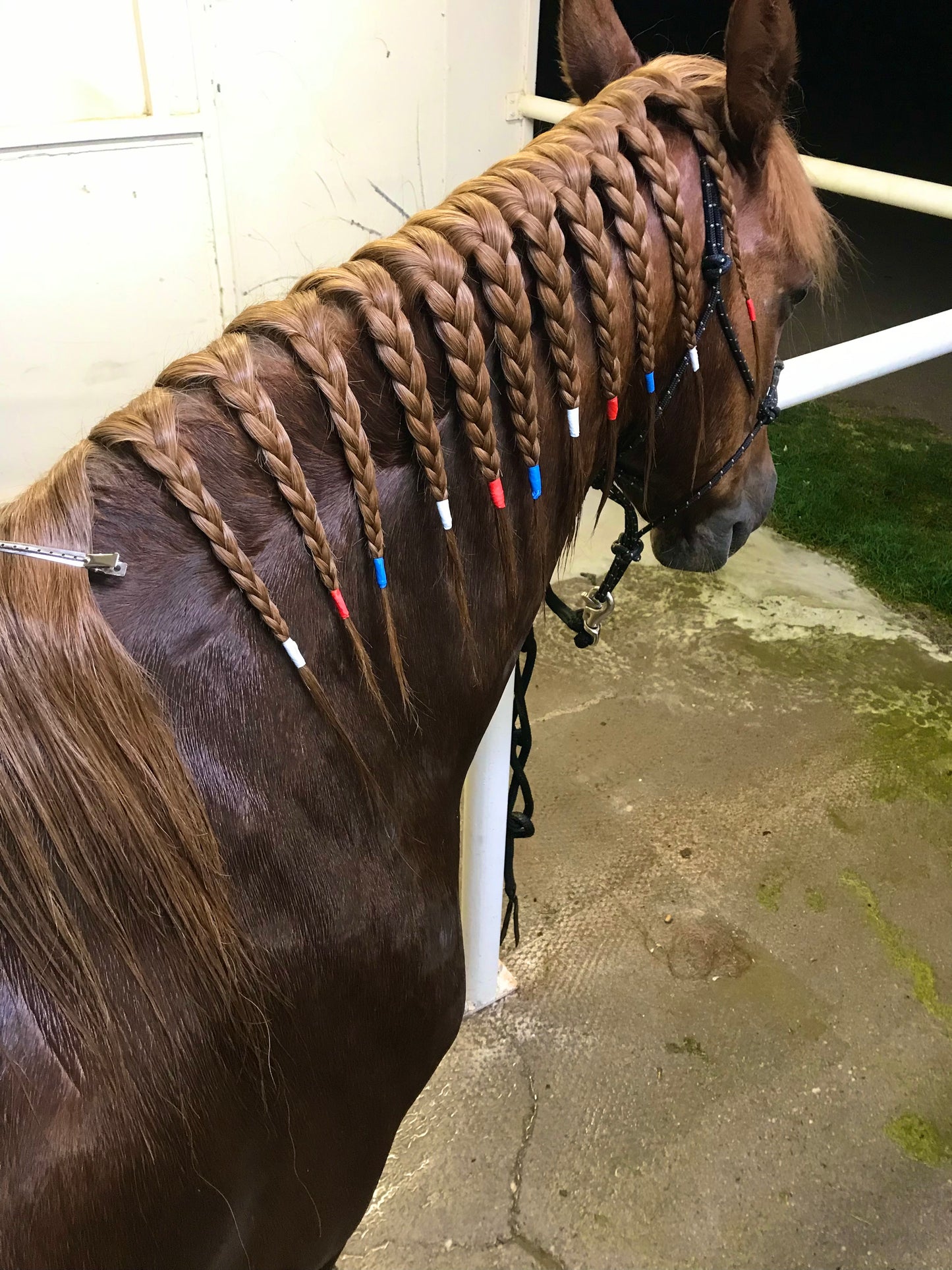 Rainbow Braiding Tape