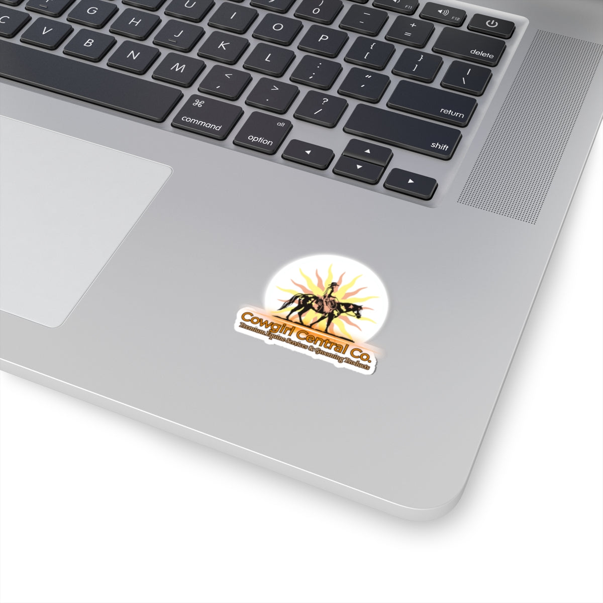 Cowgirl Central Co. Stickers