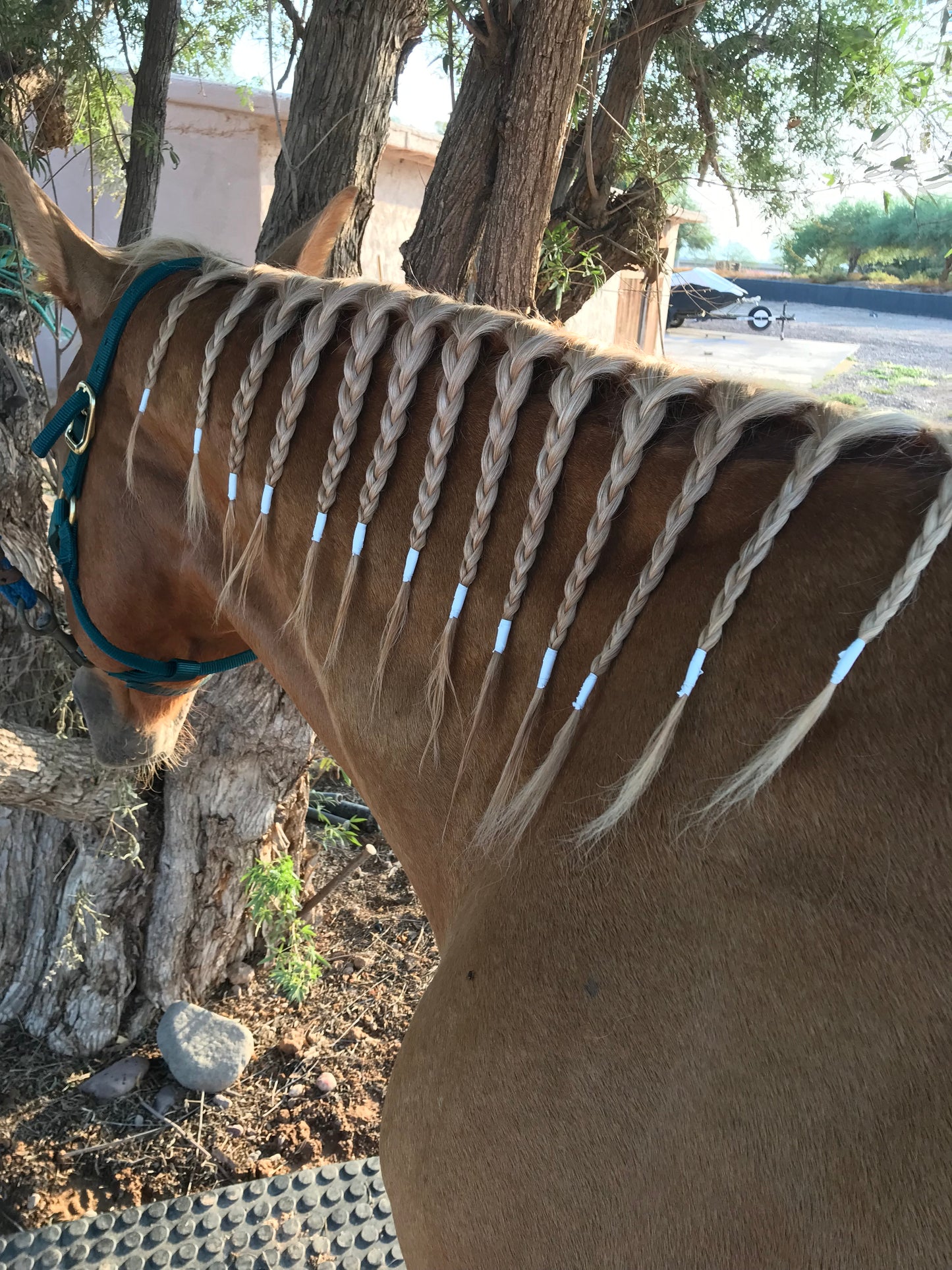 Rainbow Braiding Tape