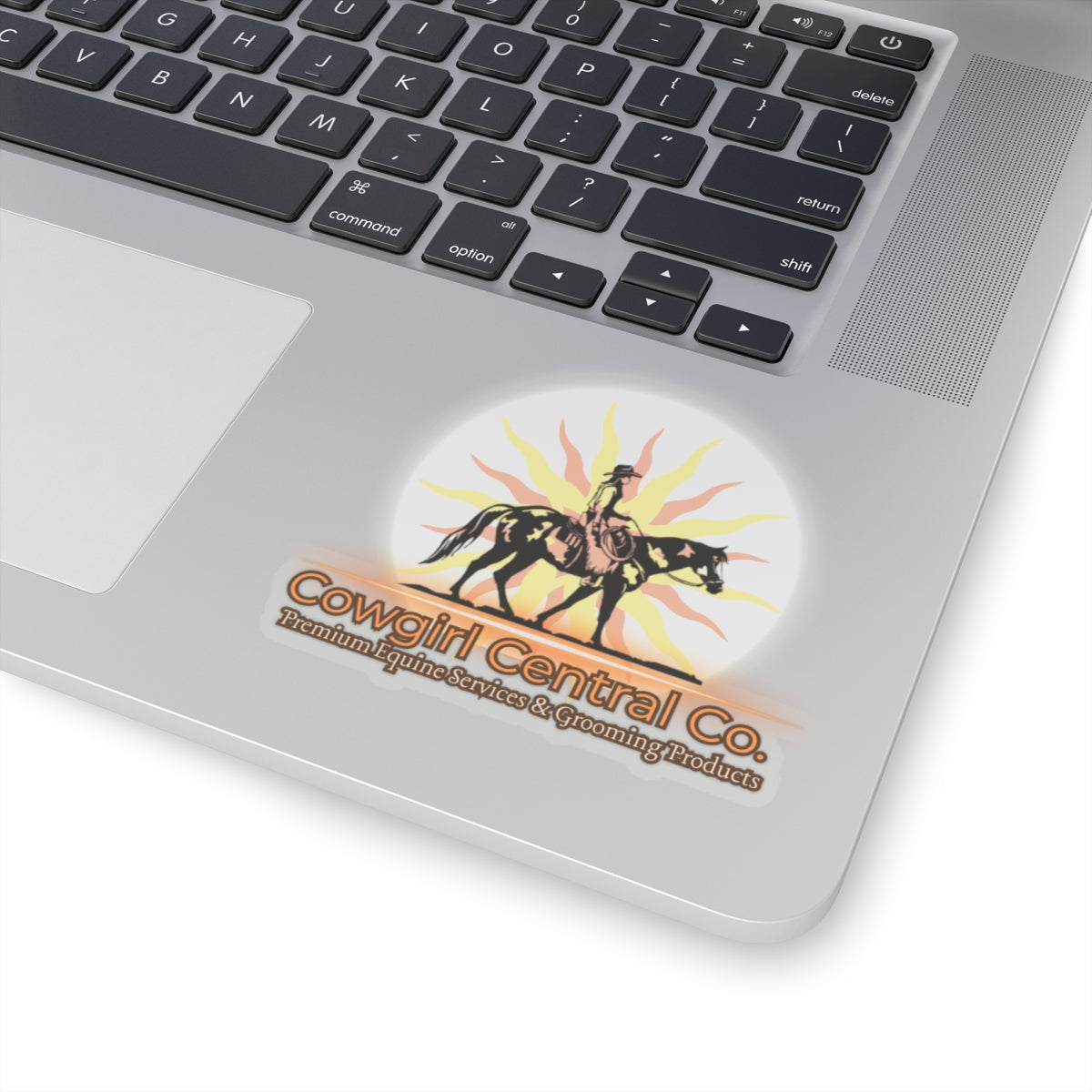 Cowgirl Central Co. Stickers