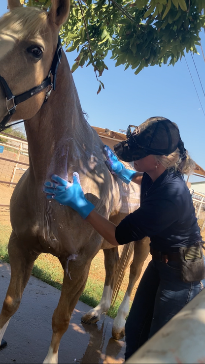 Cowgirl Central Scrubbies Grooming Gloves