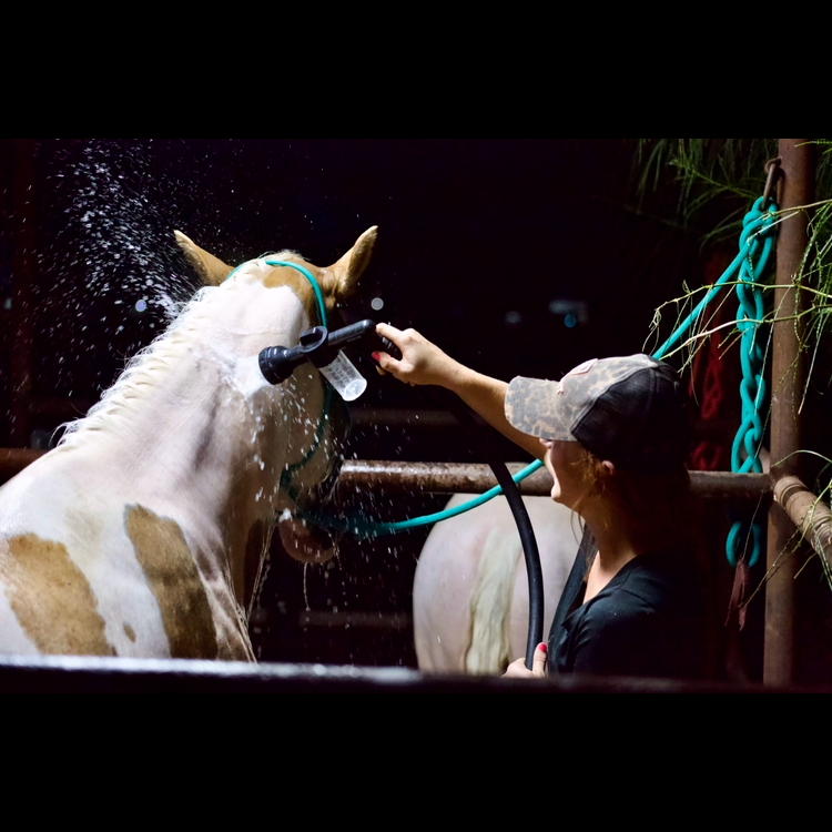 The Suds Cannon Soap Dispensing Hose Nozzle