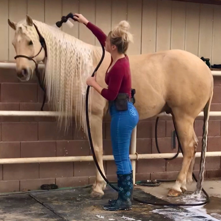 The Suds Cannon Soap Dispensing Hose Nozzle