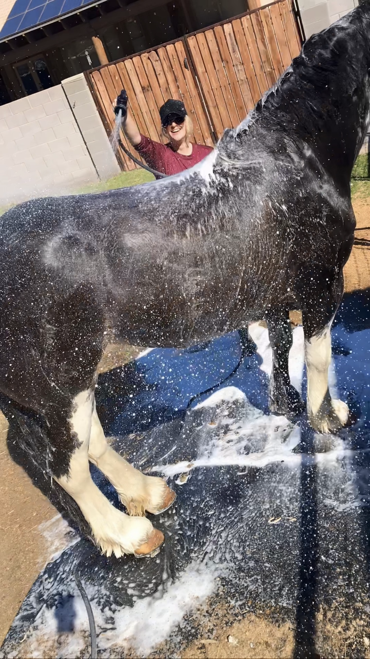 The Suds Cannon Soap Dispensing Hose Nozzle