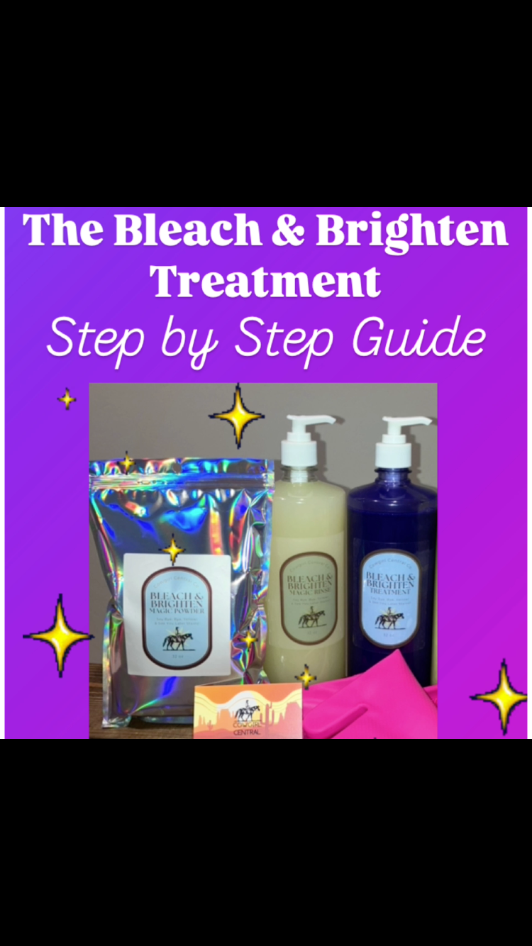 The Bleach & Brighten Treatment