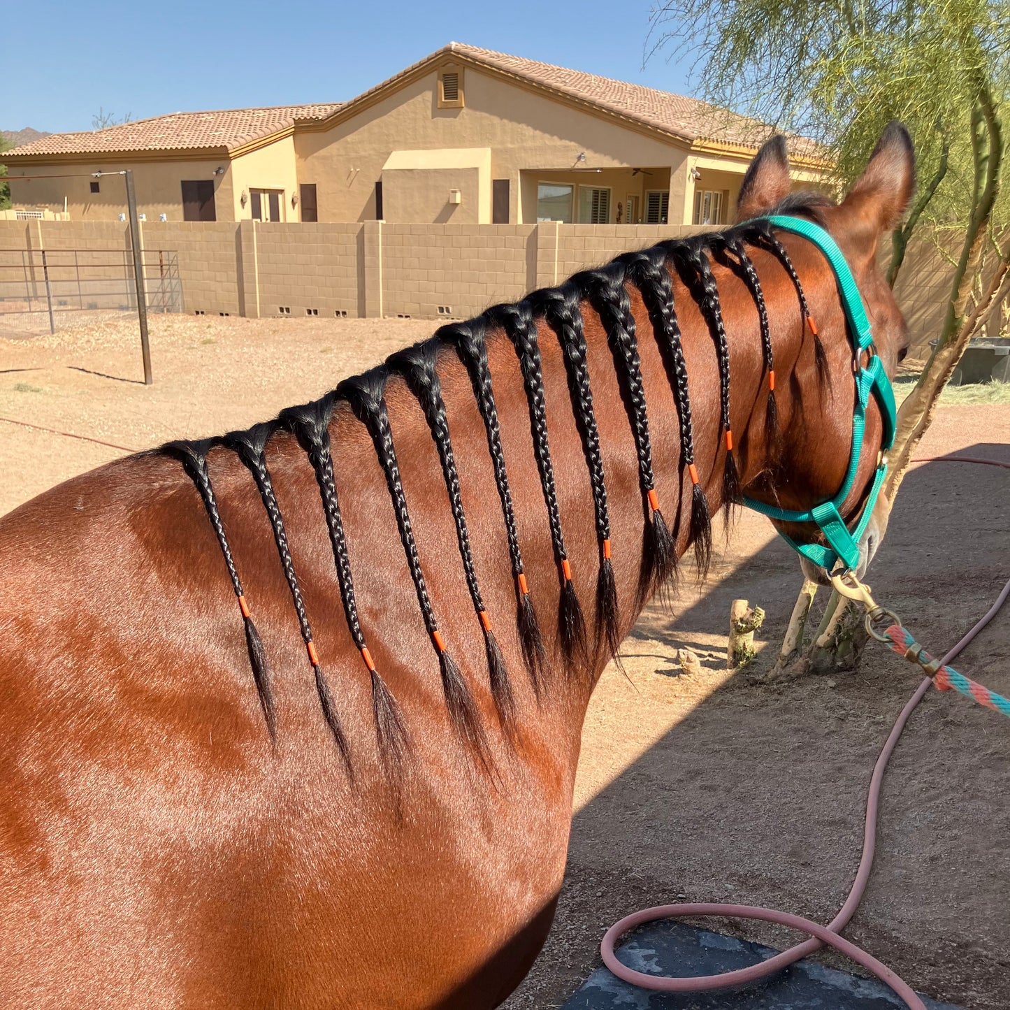 Rainbow Braiding Tape - Individual Rolls