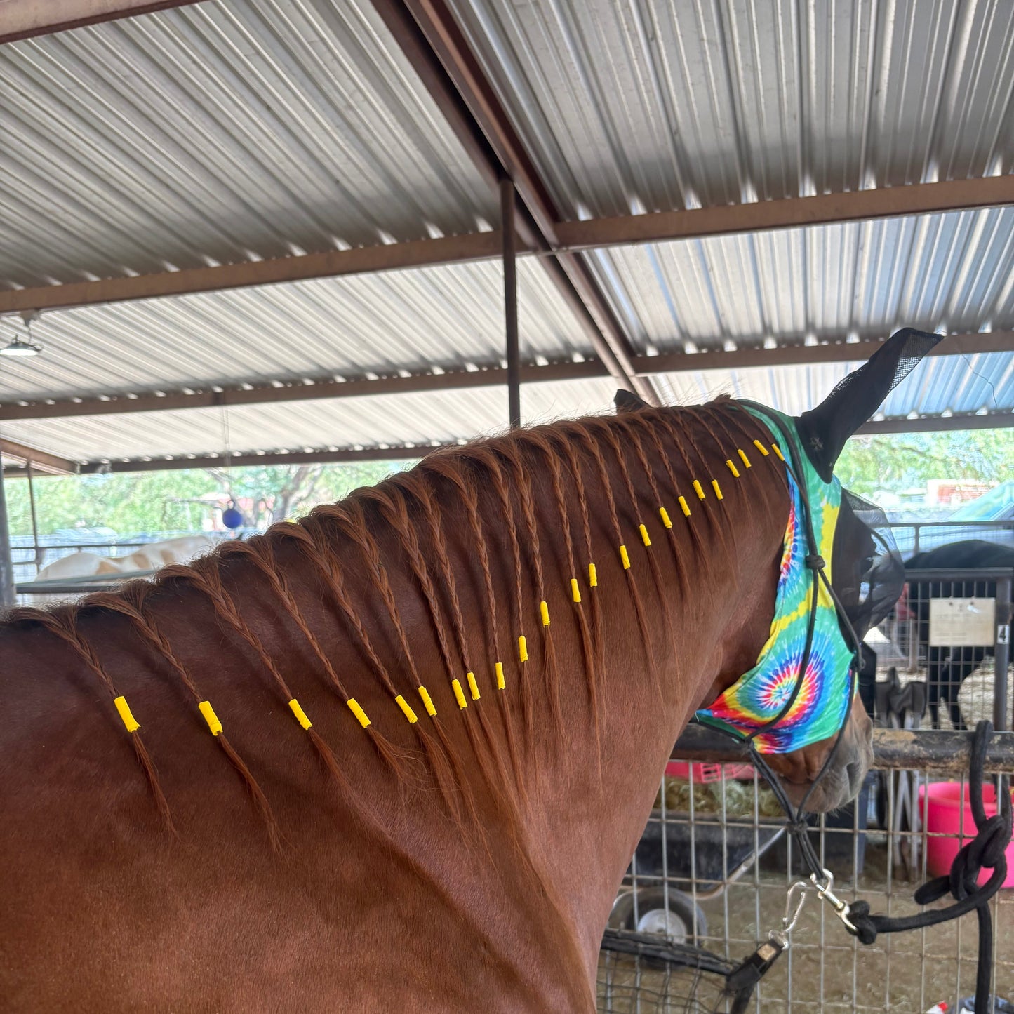 Rainbow Braiding Tape - Individual Rolls