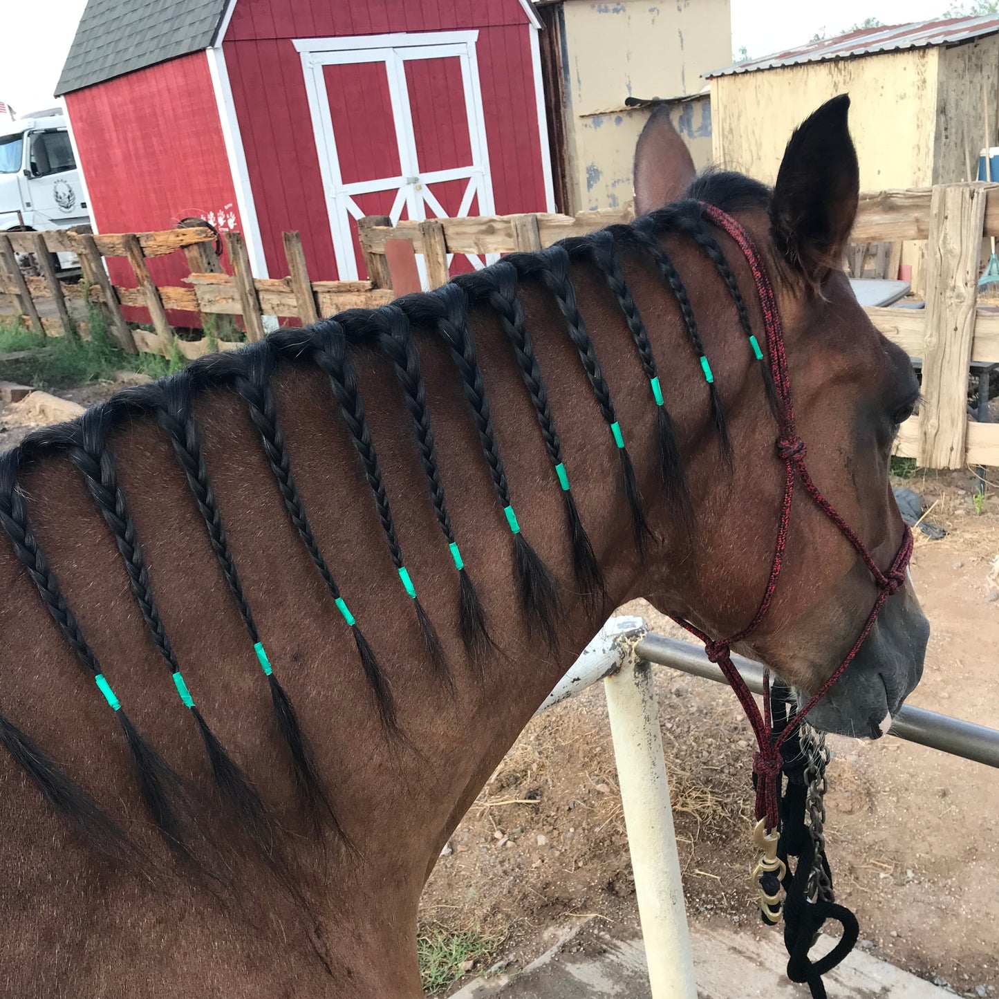 Rainbow Braiding Tape - Individual Rolls