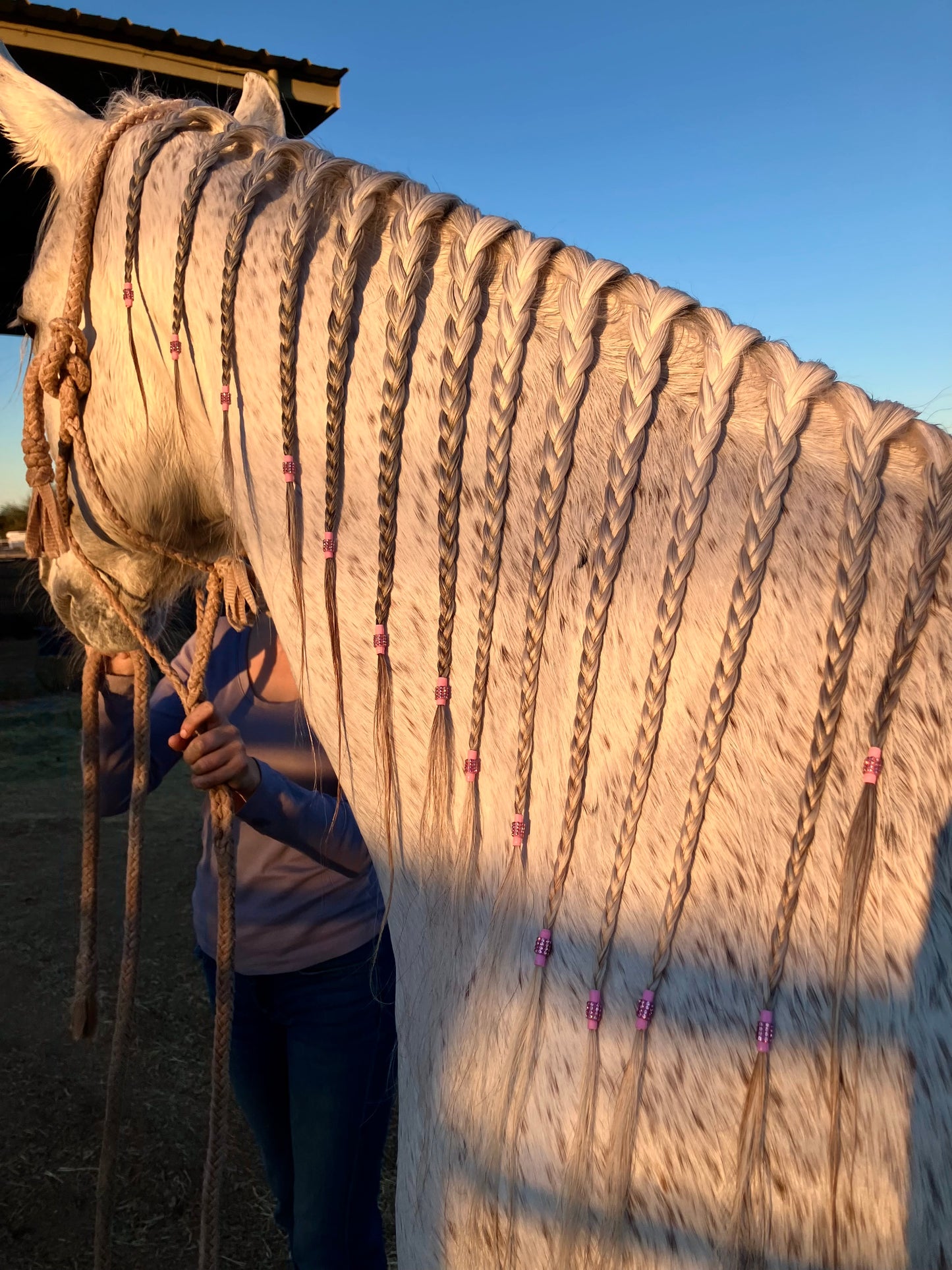 Bring On The Bling Braiding Tape