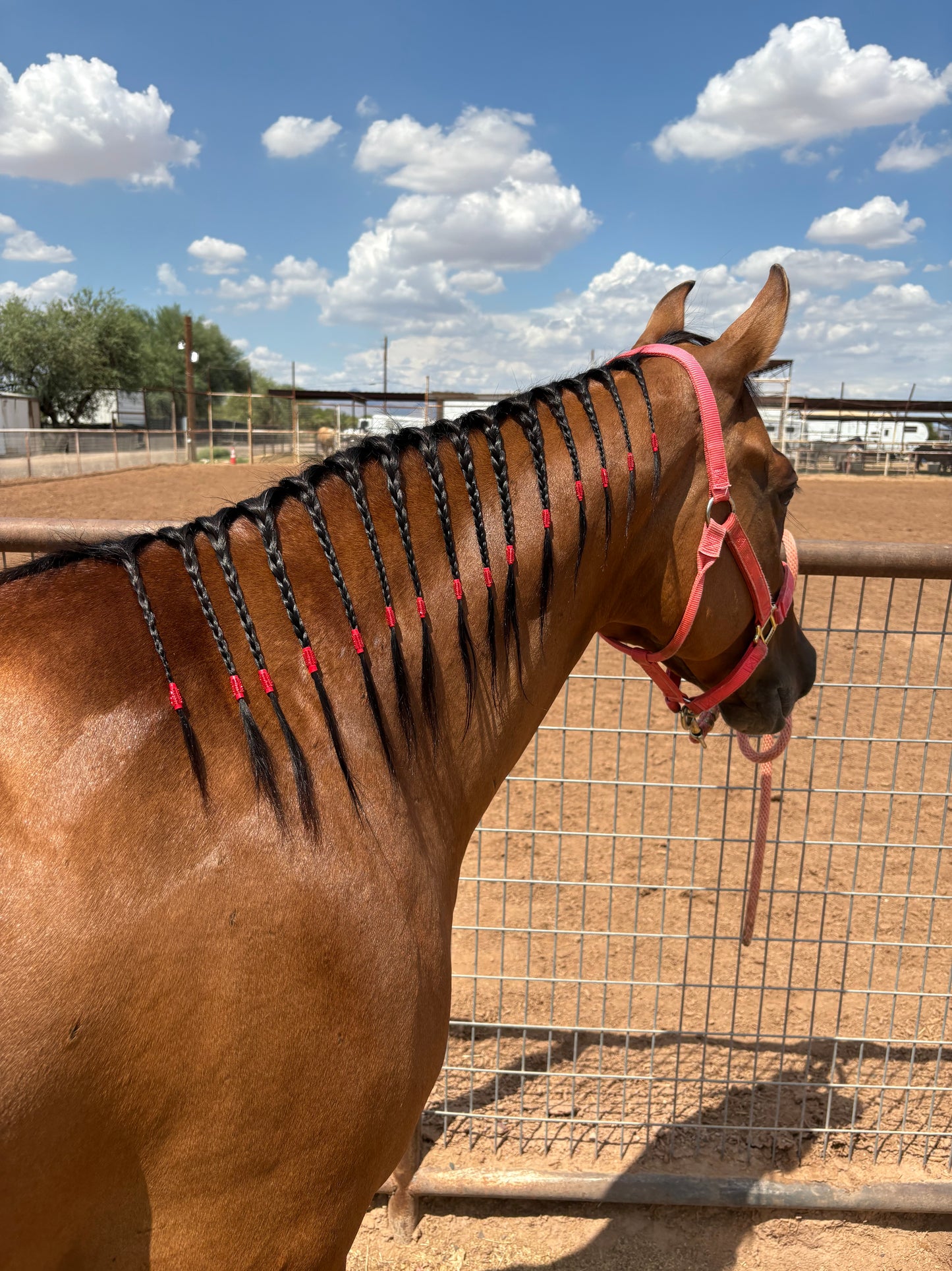 Bring On The Bling Braiding Tape