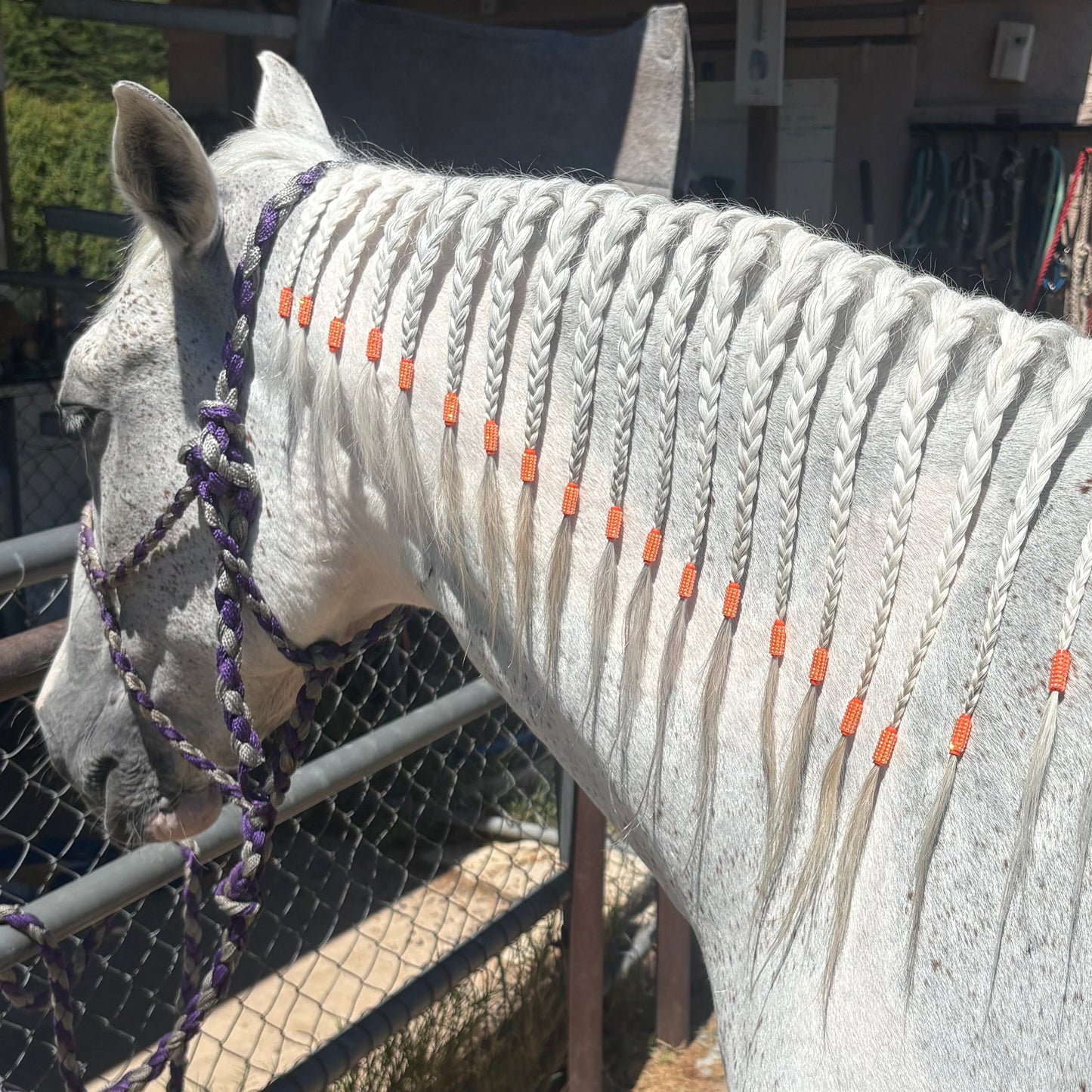 Bring On The Bling Braiding Tape