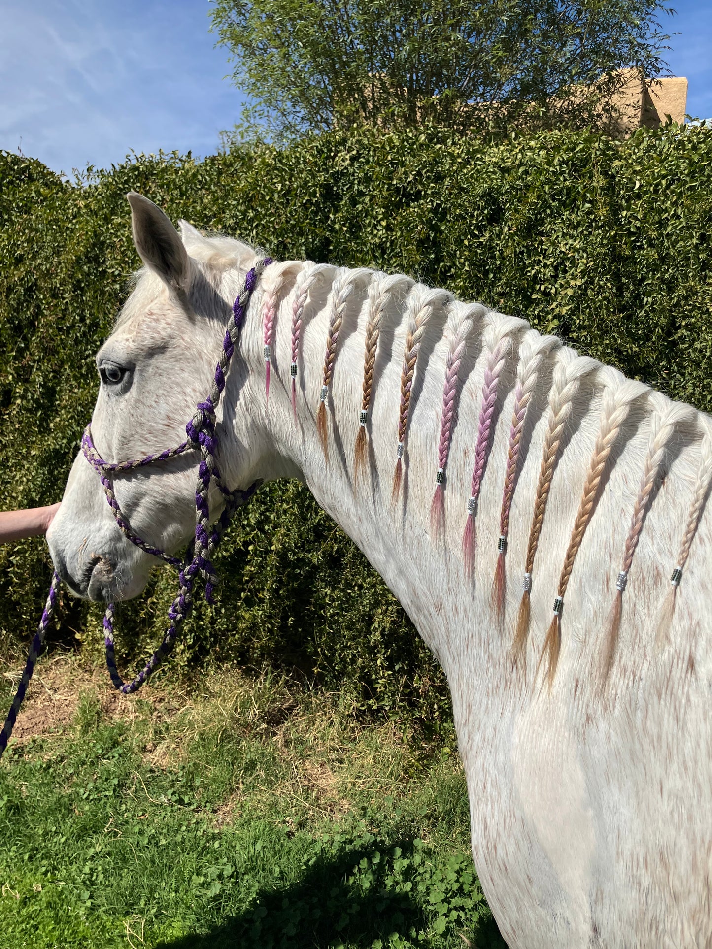 Bring On The Bling Braiding Tape
