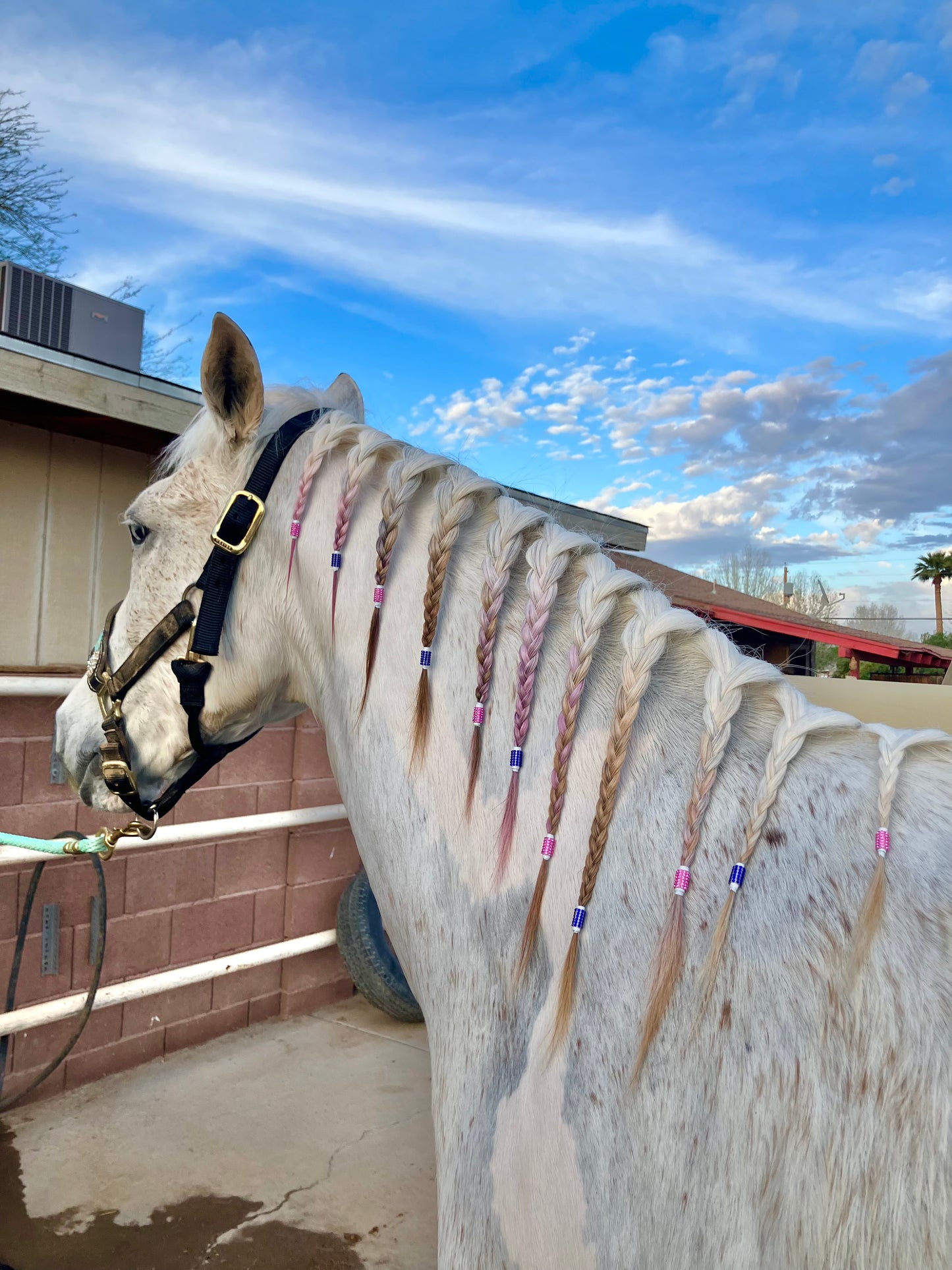 Bring On The Bling Braiding Tape