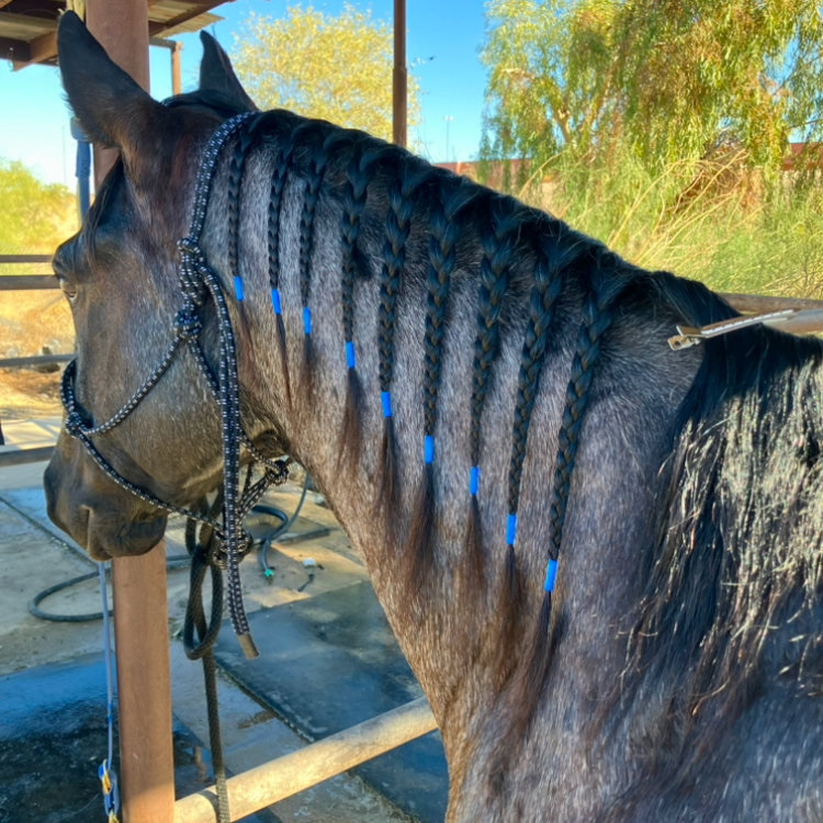 Neon Braiding Tape - Individual Rolls