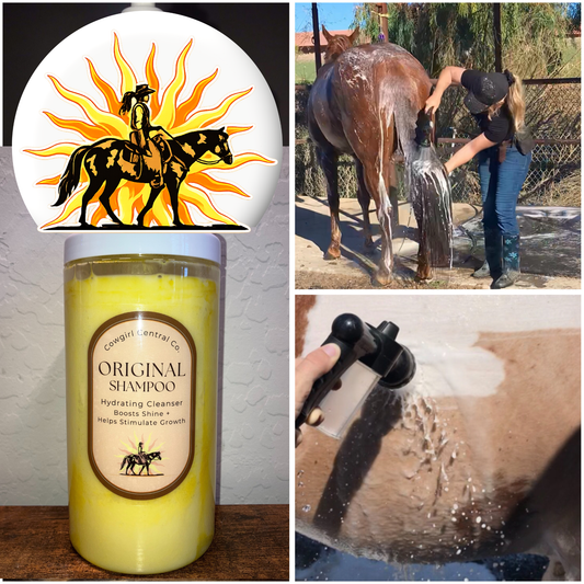 The Original Shampoo