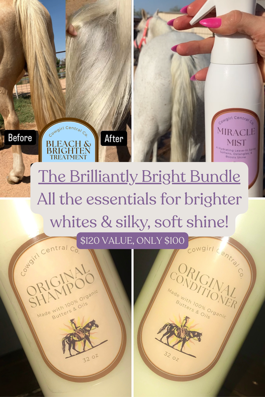 The Brilliantly Bright Bundle