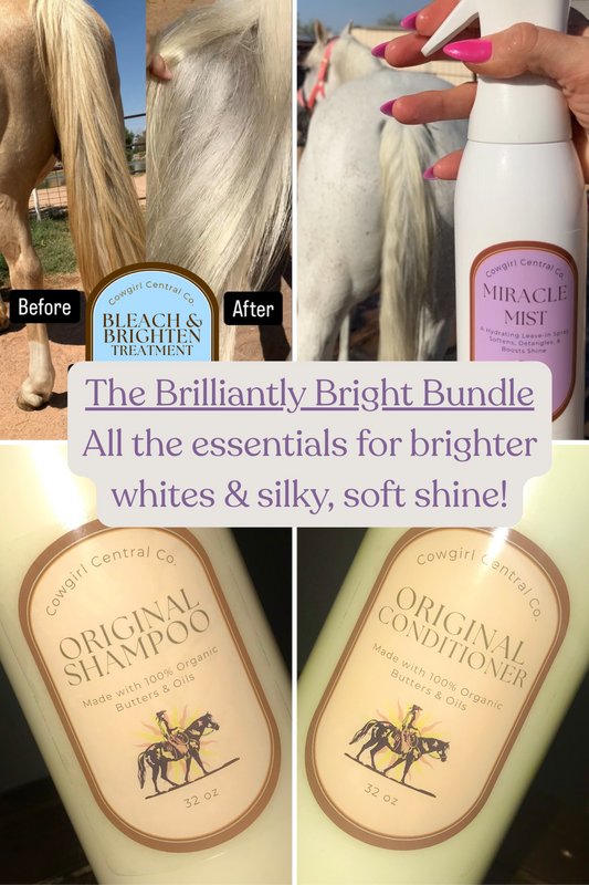 The Brilliantly Bright Bundle
