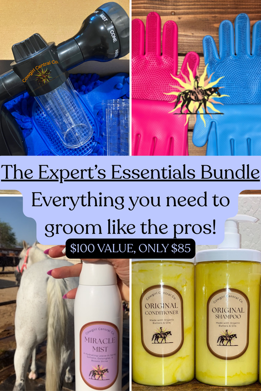 The Expert's Essentials Bundle