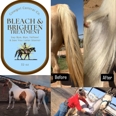 The Bleach & Brighten Treatment