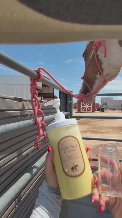 The Original Shampoo