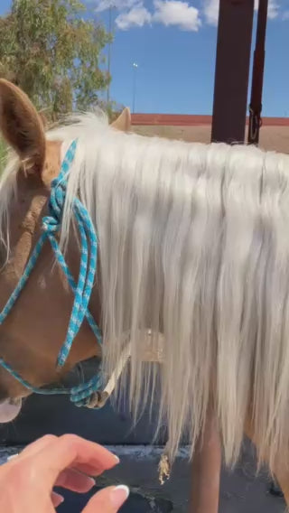 Miracle Mist
