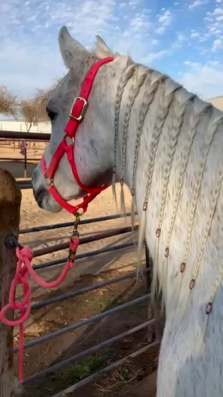 Bring On The Bling Braiding Tape