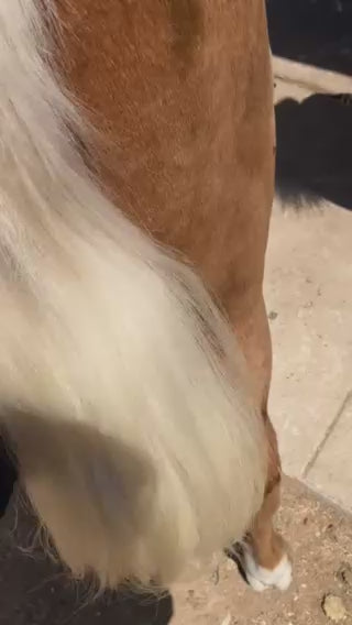 Miracle Mist