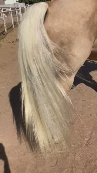 Miracle Mist